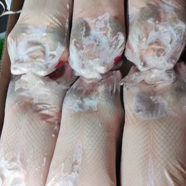 各个规格白条鸭均有货