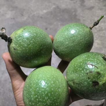 百香果