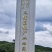 仙进奉荔枝