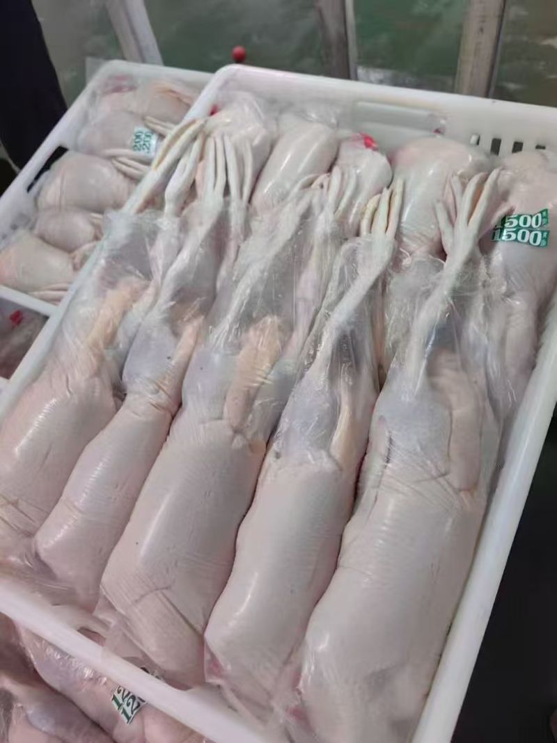 白条鸭，各种规格，都有，有需要老板联系