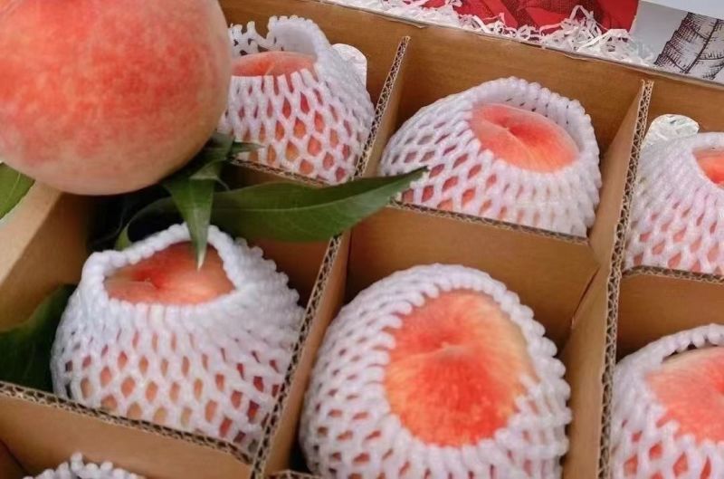 水蜜桃