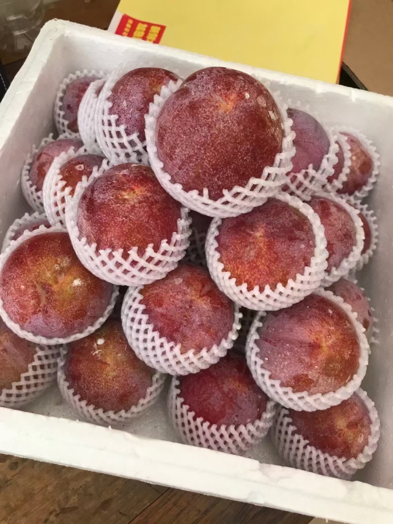 水蜜桃