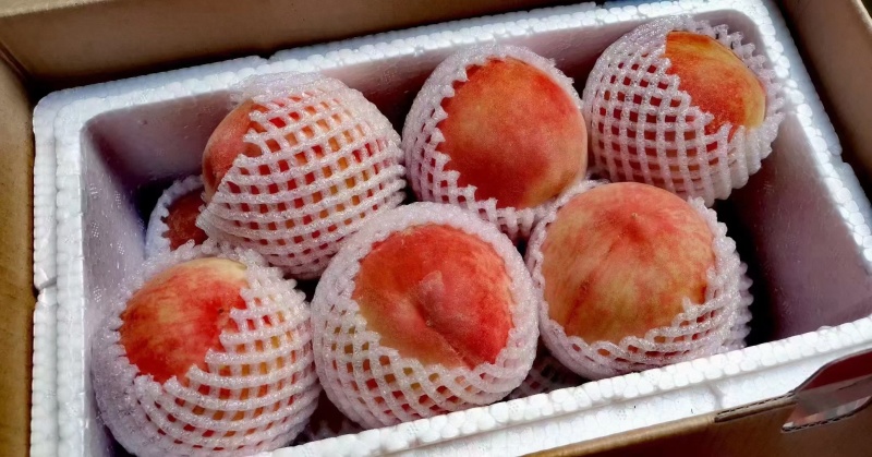 水蜜桃