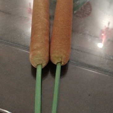 河南野生香蒲棒