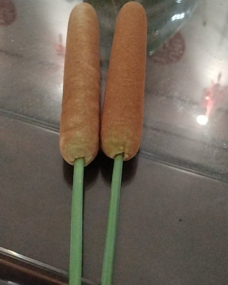 河南野生香蒲棒