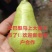 伏茄梨，伏巴梨，伏洋梨