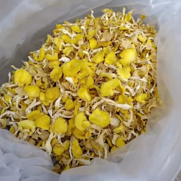 云南鸡油菌干品