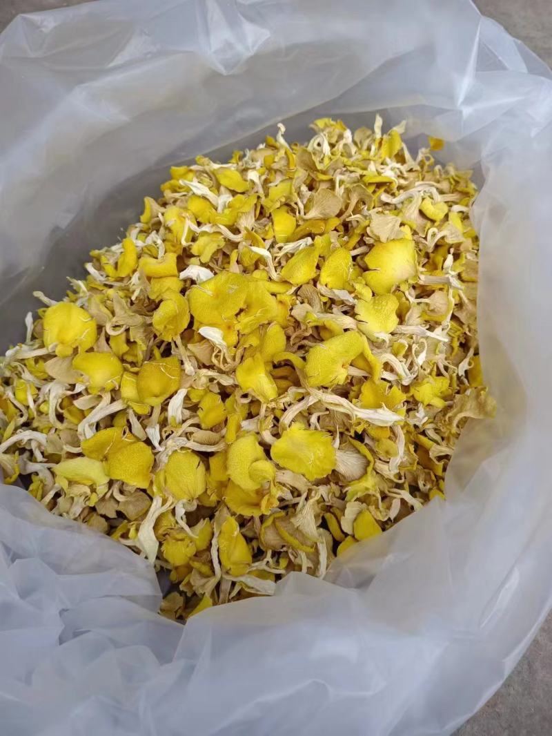 云南鸡油菌干品