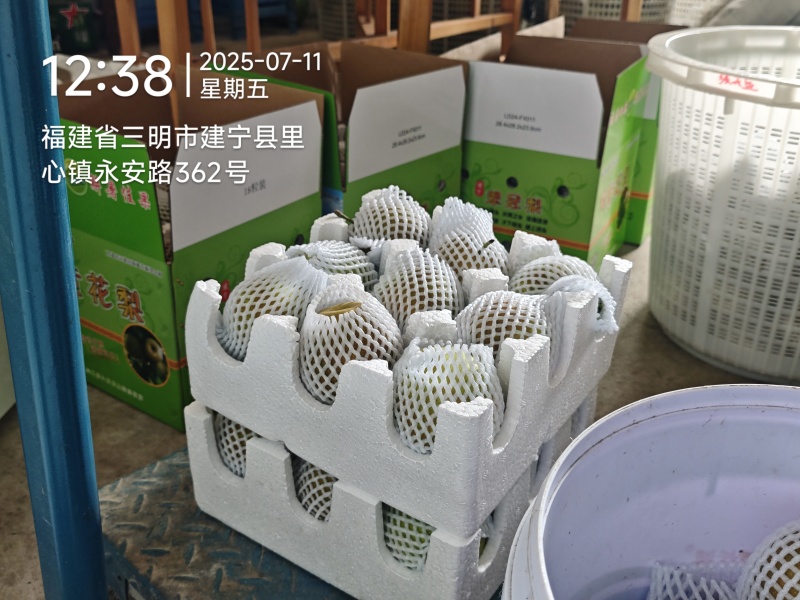 建宁翠冠梨