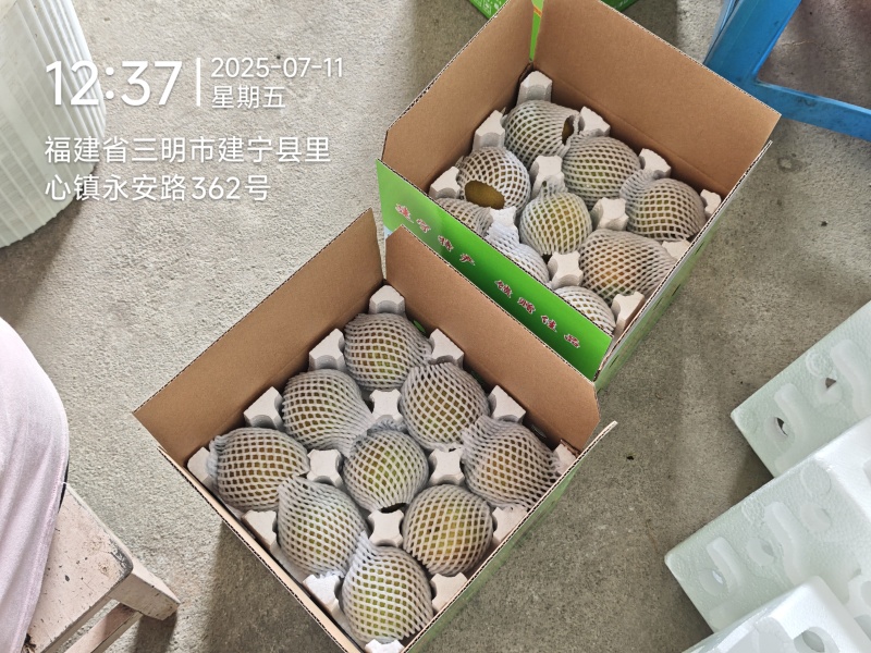 建宁翠冠梨