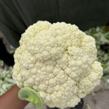 花菜