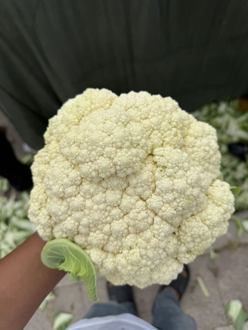 花菜