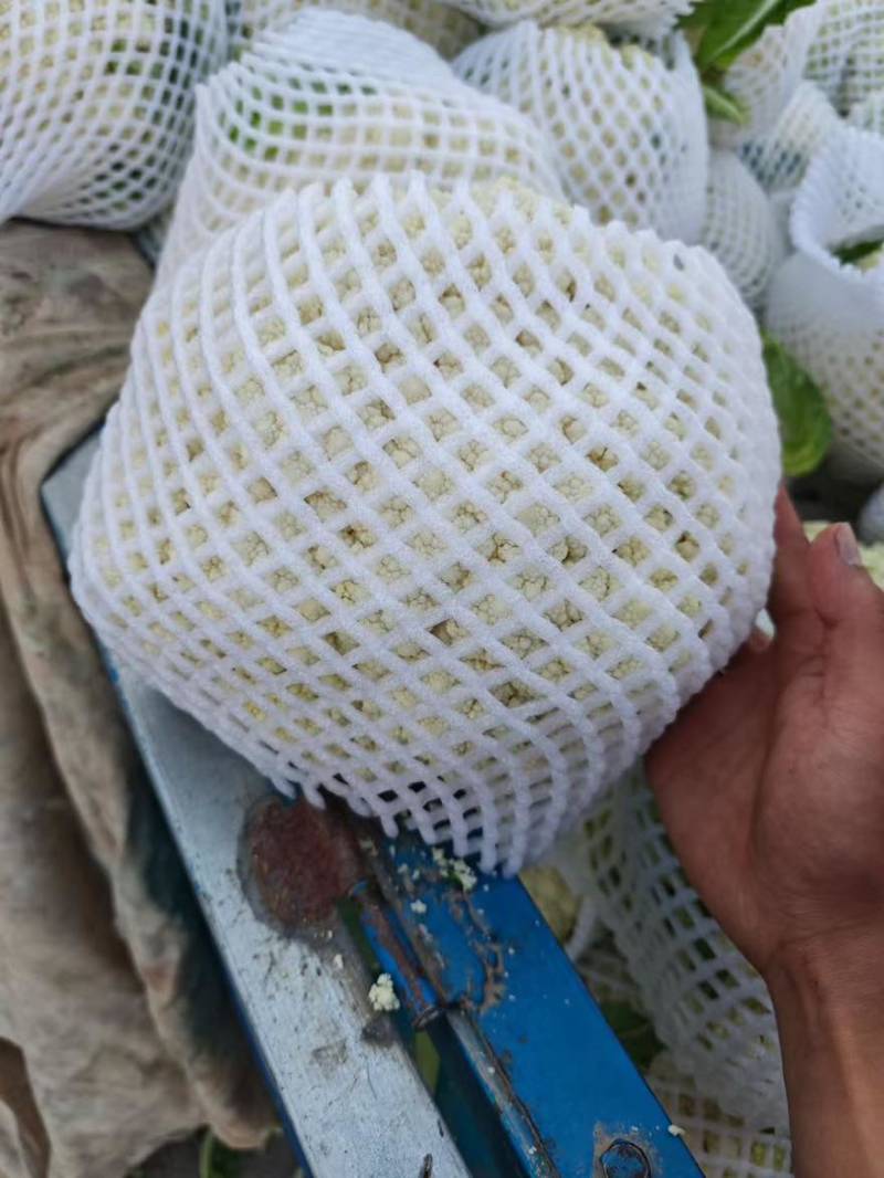花菜