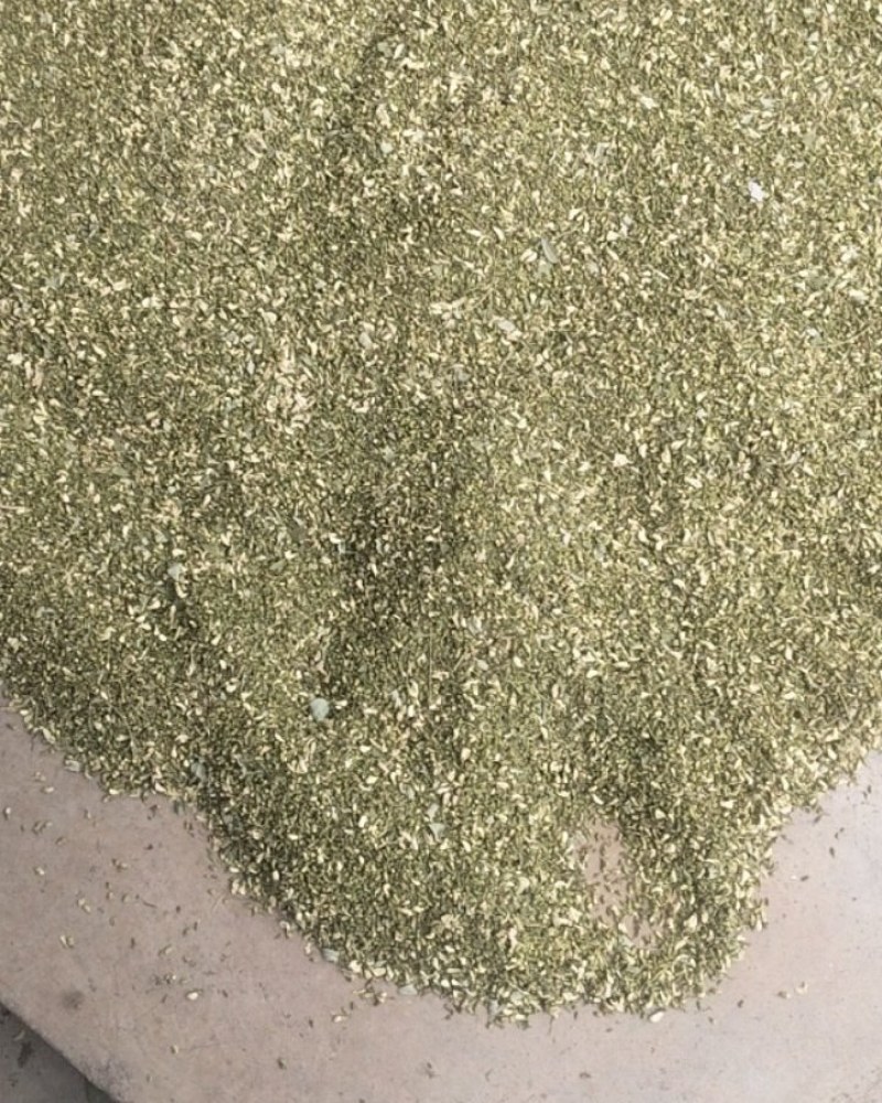 槐米