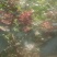 花椒