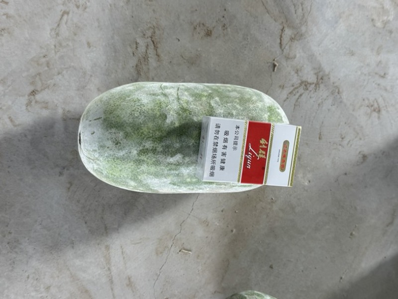 水果冬瓜