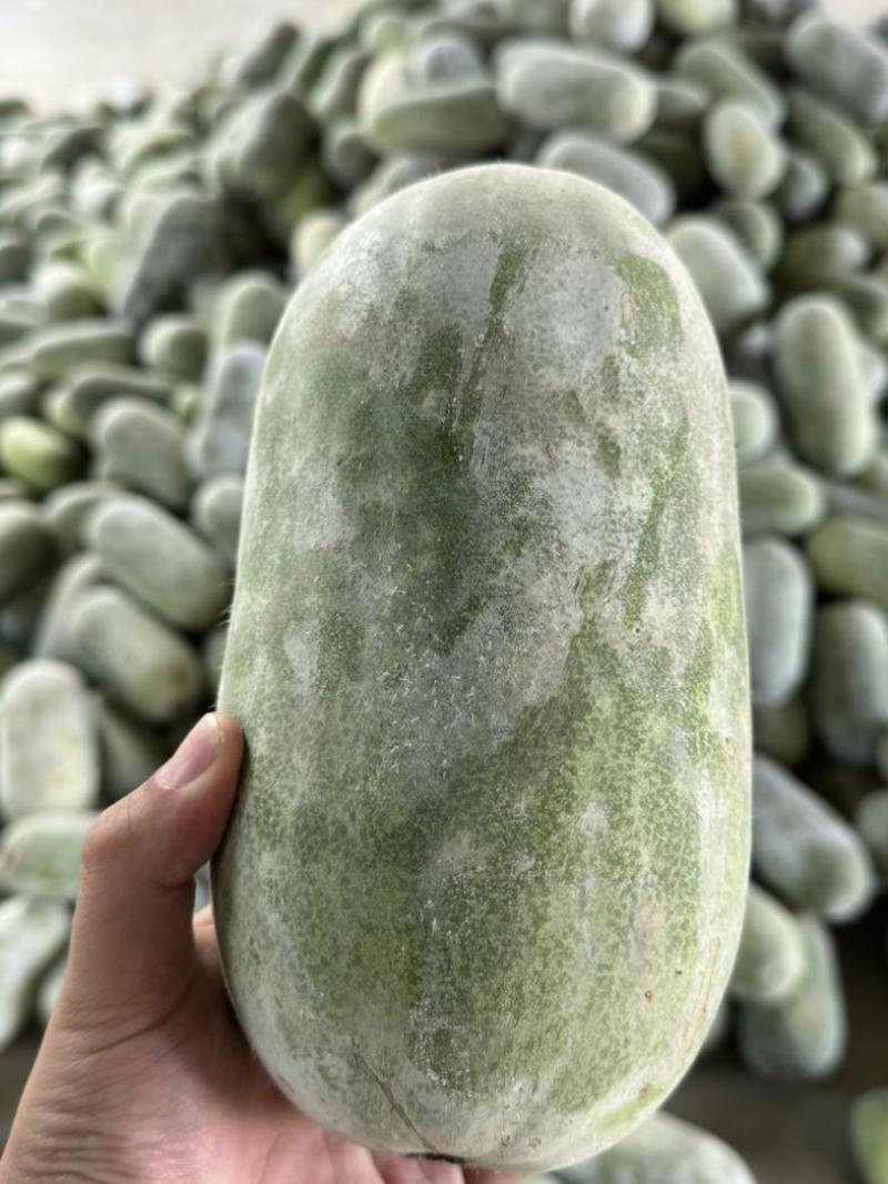 水果冬瓜