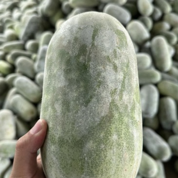 水果冬瓜