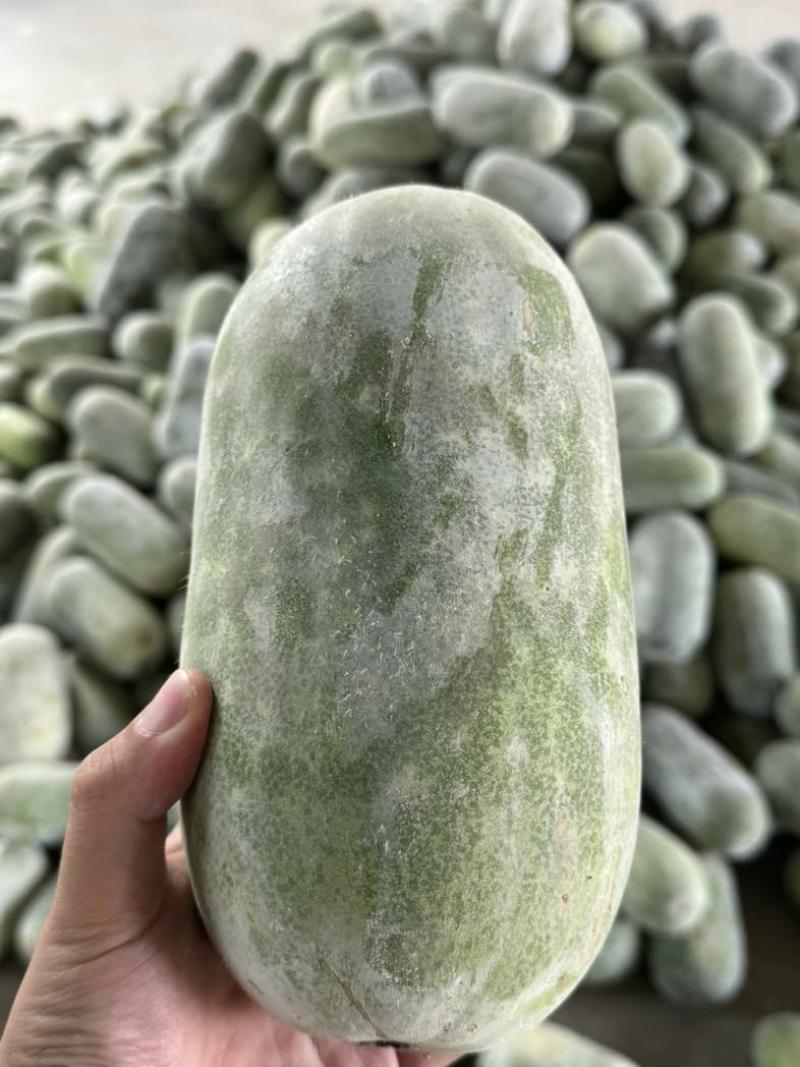 水果冬瓜