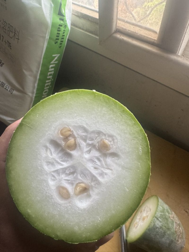 水果冬瓜