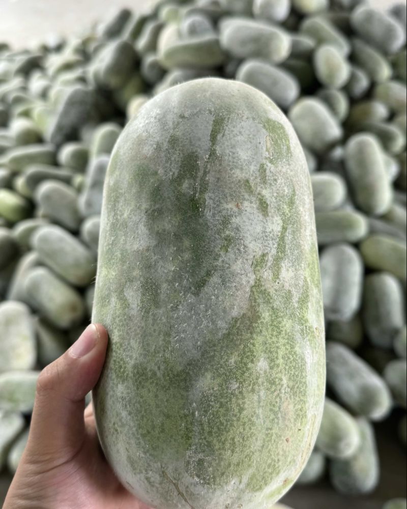 水果冬瓜