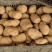 恩施高山马儿科土豆