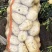 土豆