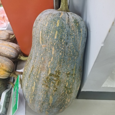 香芋南瓜
