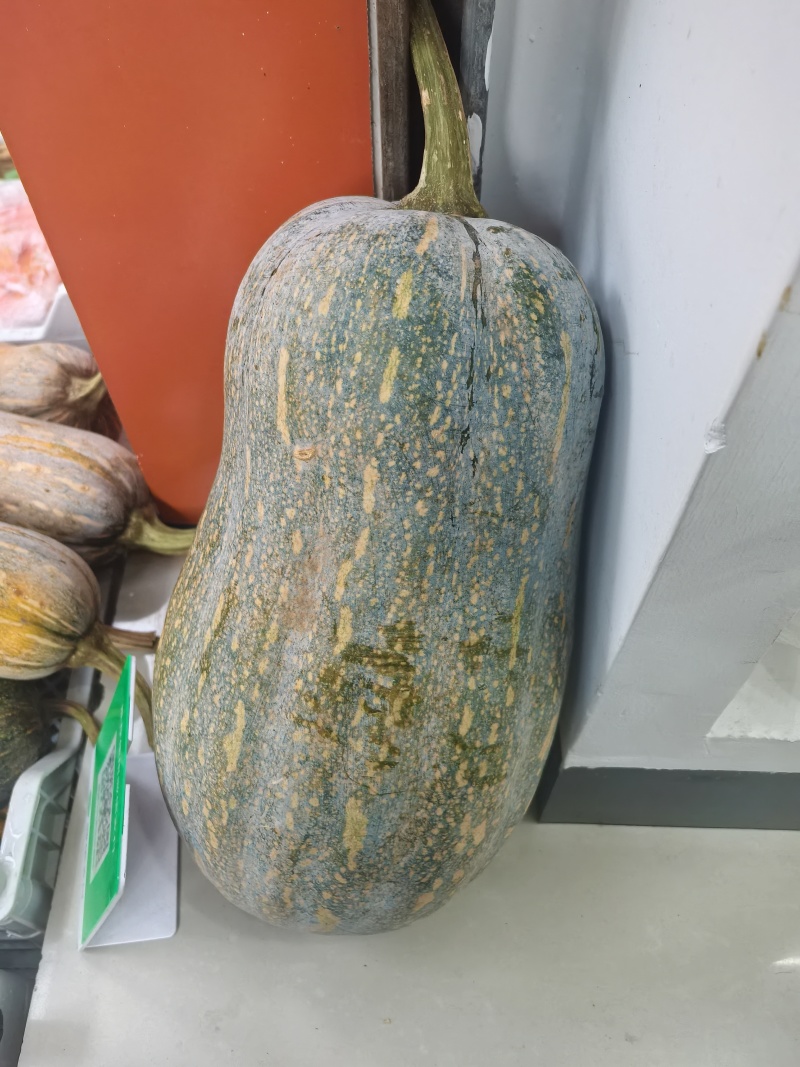 香芋南瓜