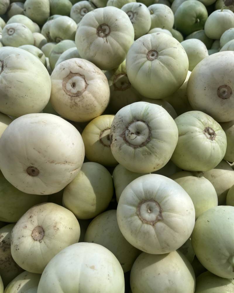 甜瓜🍈