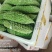 精品苦瓜