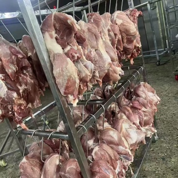 四号肉