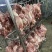 四号肉