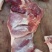 四号肉