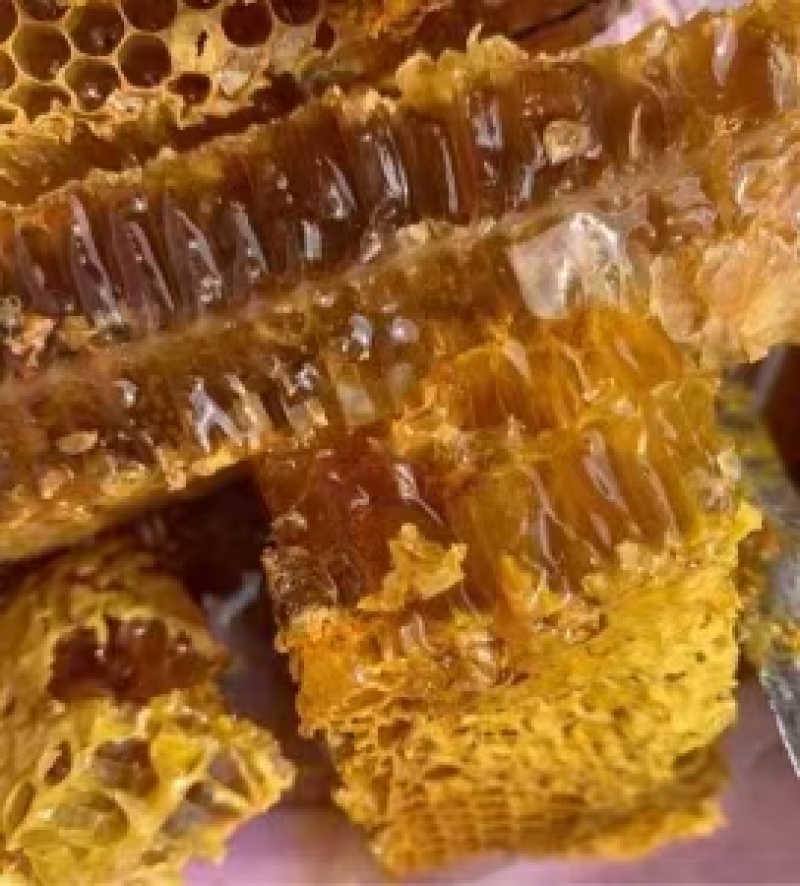 平武老桶蜂蜜