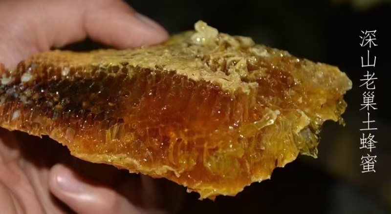 平武老桶蜂蜜