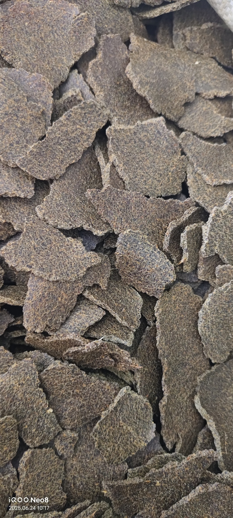 一级菜籽青饼