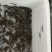 泥鳅处理，改行业了…