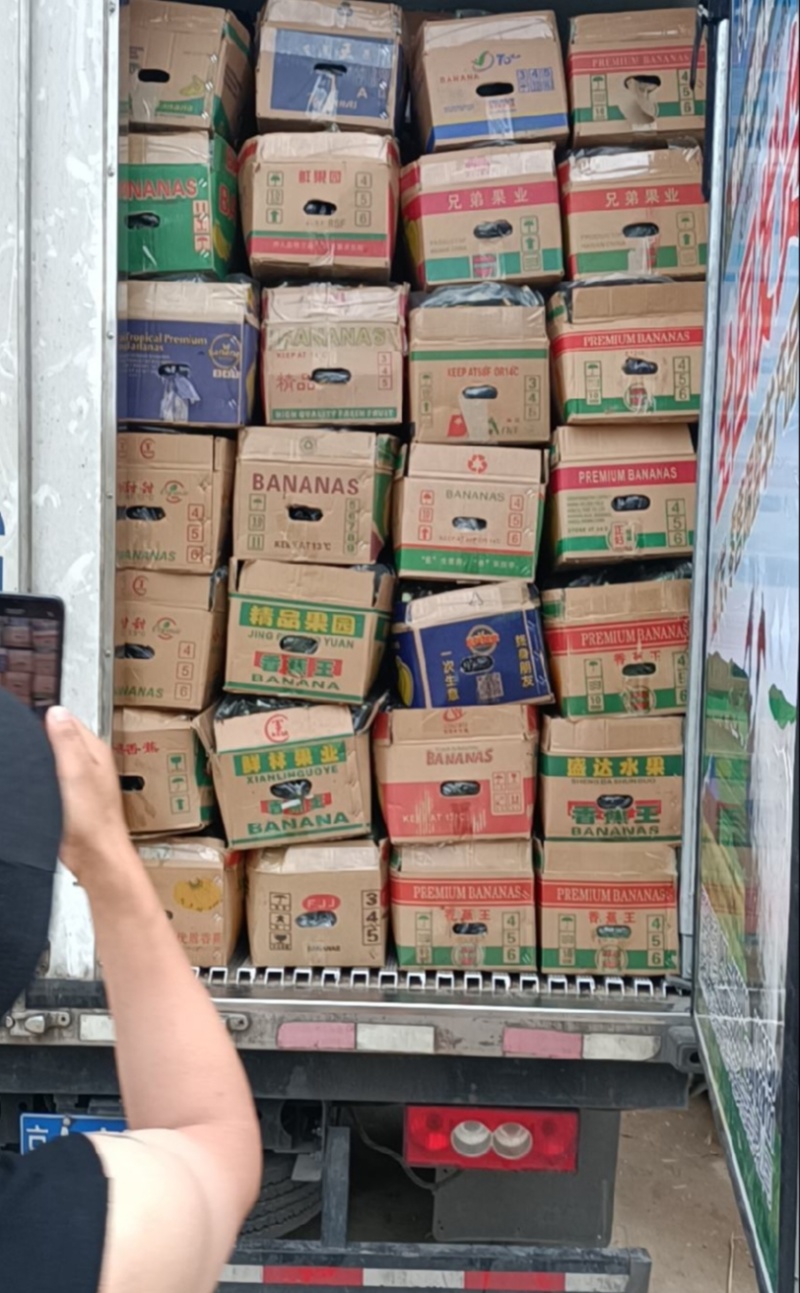 精品黄瓜干花