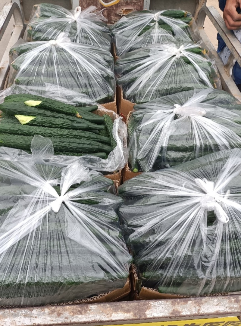 精品黄瓜干花