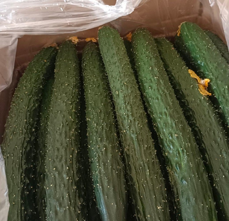 精品黄瓜干花