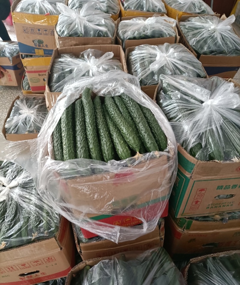 精品黄瓜干花