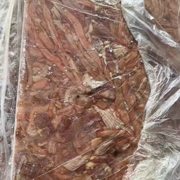 鸭食带有货