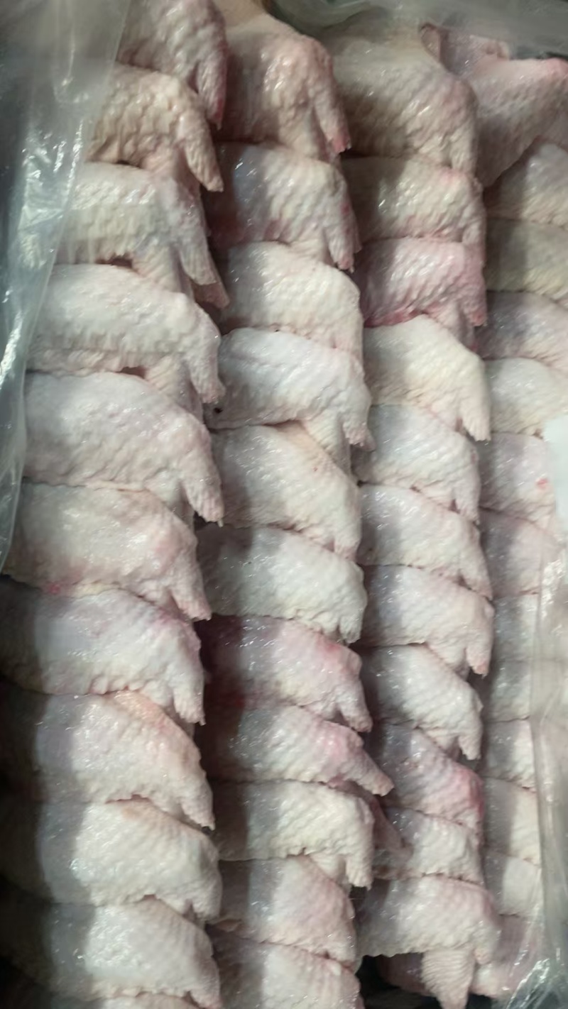 本公司做的是肉鸡屠宰加工。