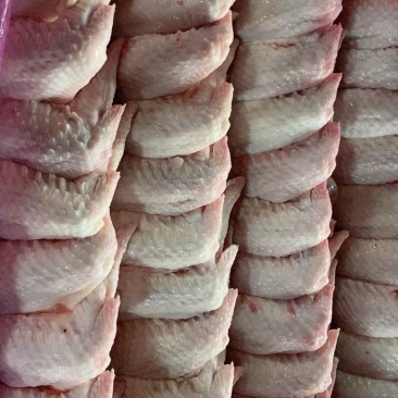 本公司做的是肉鸡屠宰加工。