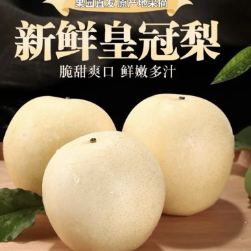 皇冠梨