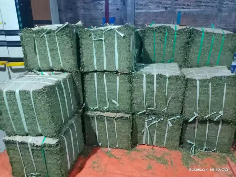 印尼种植园直供辣木叶，FOB,CIF交易均可