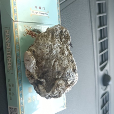 龙涎香