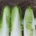 会泽县者海镇绍菜