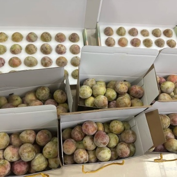 水果，嵊州桃形李是嵊州市特产，味美价廉，富含营养，包邮